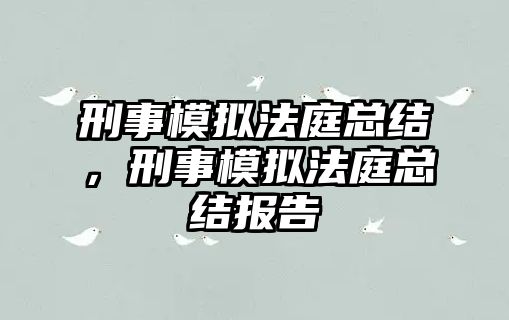 刑事模擬法庭總結，刑事模擬法庭總結報告