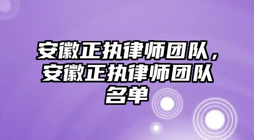 安徽正執律師團隊，安徽正執律師團隊名單