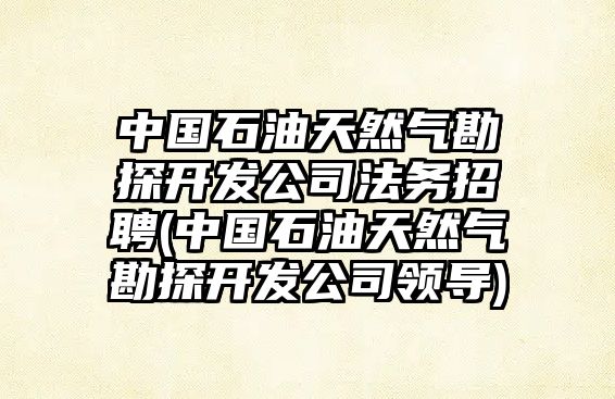 中國(guó)石油天然氣勘探開發(fā)公司法務(wù)招聘(中國(guó)石油天然氣勘探開發(fā)公司領(lǐng)導(dǎo))