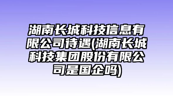 湖南長城科技信息有限公司待遇(湖南長城科技集團股份有限公司是國企嗎)