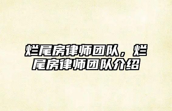 爛尾房律師團隊，爛尾房律師團隊介紹