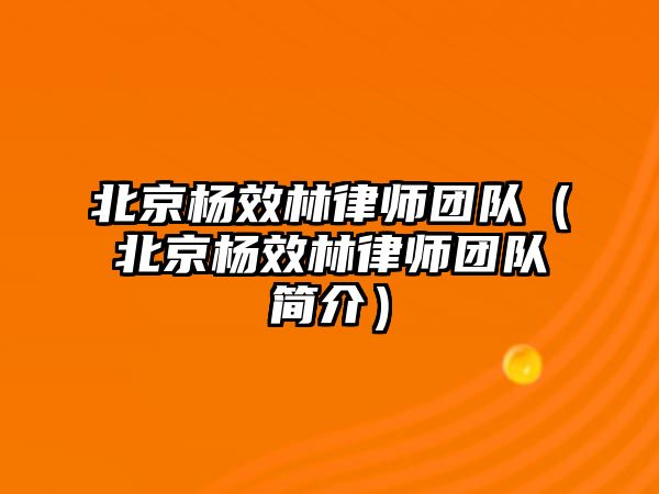 北京楊效林律師團隊（北京楊效林律師團隊簡介）