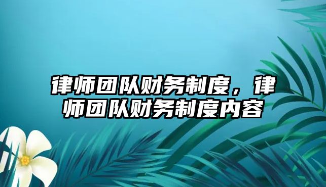 律師團隊財務制度，律師團隊財務制度內容