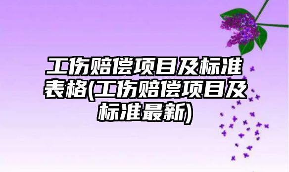 工傷賠償項目及標準表格(工傷賠償項目及標準最新)