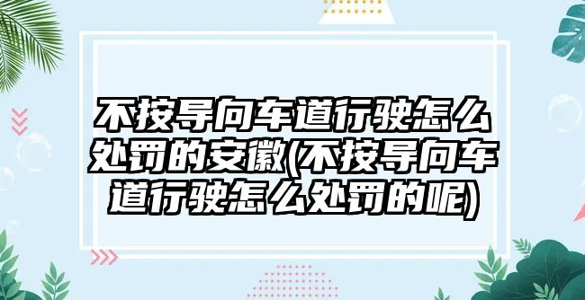 不按導向車道行駛怎么處罰的安徽(不按導向車道行駛怎么處罰的呢)