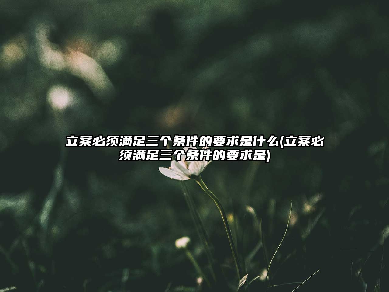 立案必須滿足三個條件的要求是什么(立案必須滿足三個條件的要求是)