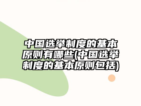 中國(guó)選舉制度的基本原則有哪些(中國(guó)選舉制度的基本原則包括)