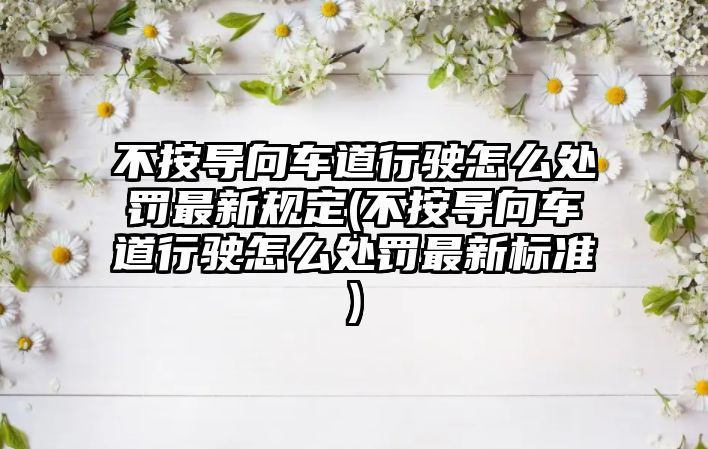 不按導向車道行駛怎么處罰最新規定(不按導向車道行駛怎么處罰最新標準)