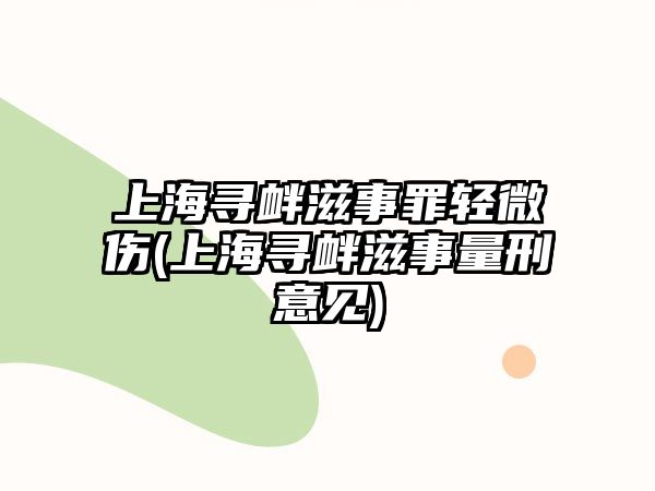 上海尋釁滋事罪輕微傷(上海尋釁滋事量刑意見)