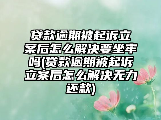 貸款逾期被起訴立案后怎么解決要坐牢嗎(貸款逾期被起訴立案后怎么解決無(wú)力還款)