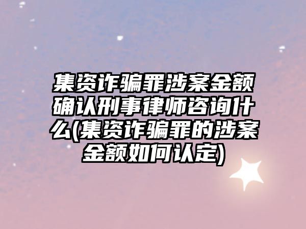 集資詐騙罪涉案金額確認刑事律師咨詢什么(集資詐騙罪的涉案金額如何認定)