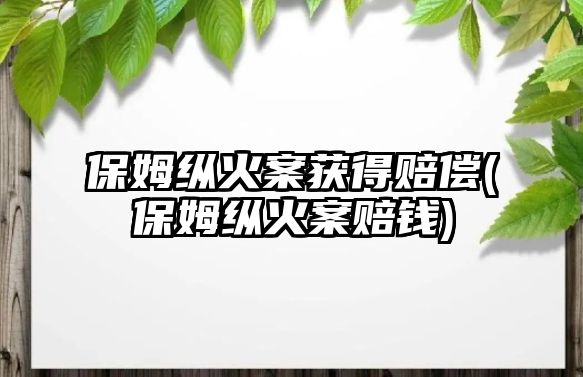 保姆縱火案獲得賠償(保姆縱火案賠錢)