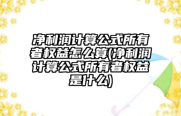 凈利潤計算公式所有者權益怎么算(凈利潤計算公式所有者權益是什么)