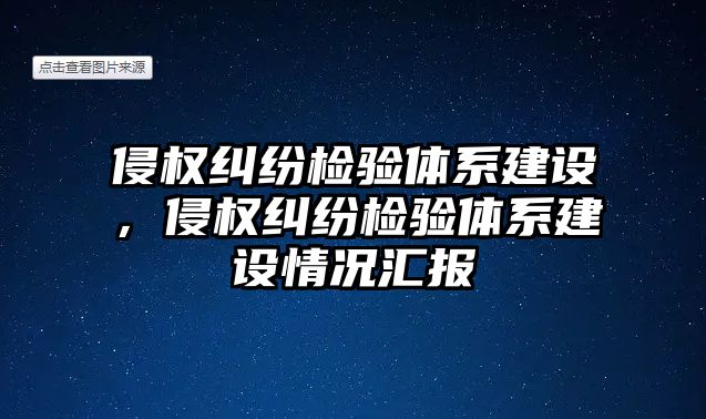 侵權糾紛檢驗體系建設，侵權糾紛檢驗體系建設情況匯報