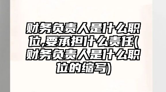 財務負責人是什么職位,要承擔什么責任(財務負責人是什么職位的縮寫)