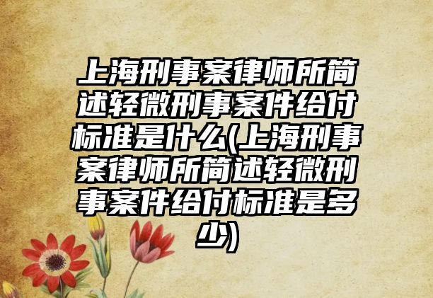 上海刑事案律師所簡述輕微刑事案件給付標準是什么(上海刑事案律師所簡述輕微刑事案件給付標準是多少)