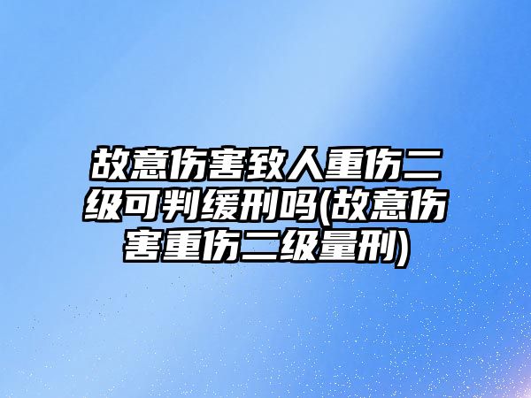 故意傷害致人重傷二級可判緩刑嗎(故意傷害重傷二級量刑)