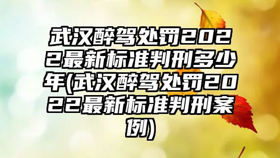 武漢醉駕處罰2022最新標(biāo)準(zhǔn)判刑多少年(武漢醉駕處罰2022最新標(biāo)準(zhǔn)判刑案例)