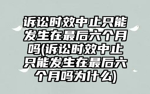 訴訟時效中止只能發生在最后六個月嗎(訴訟時效中止只能發生在最后六個月嗎為什么)