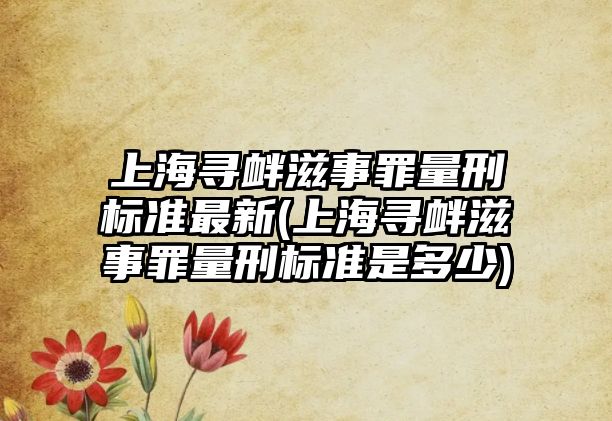 上海尋釁滋事罪量刑標準最新(上海尋釁滋事罪量刑標準是多少)