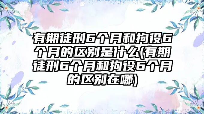 有期徒刑6個月和拘役6個月的區別是什么(有期徒刑6個月和拘役6個月的區別在哪)