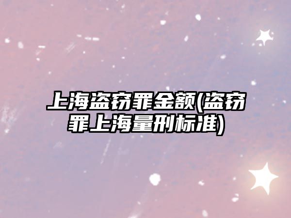 上海盜竊罪金額(盜竊罪上海量刑標準)