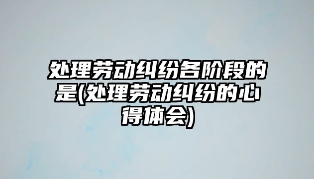 處理勞動糾紛各階段的是(處理勞動糾紛的心得體會)