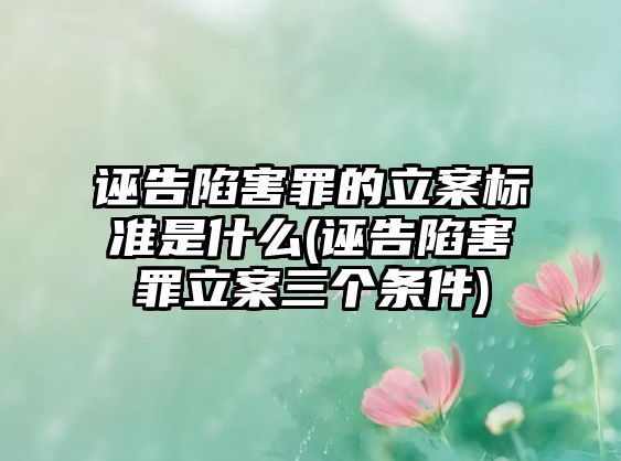 誣告陷害罪的立案標(biāo)準(zhǔn)是什么(誣告陷害罪立案三個(gè)條件)