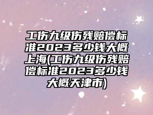 工傷九級傷殘賠償標(biāo)準(zhǔn)2023多少錢大概上海(工傷九級傷殘賠償標(biāo)準(zhǔn)2023多少錢大概天津市)