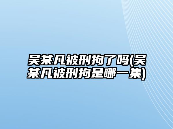 吳某凡被刑拘了嗎(吳某凡被刑拘是哪一集)