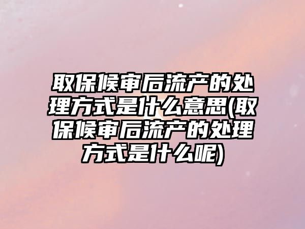 取保候?qū)徍罅鳟a(chǎn)的處理方式是什么意思(取保候?qū)徍罅鳟a(chǎn)的處理方式是什么呢)