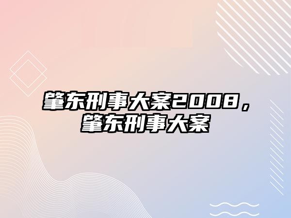 肇東刑事大案2008，肇東刑事大案