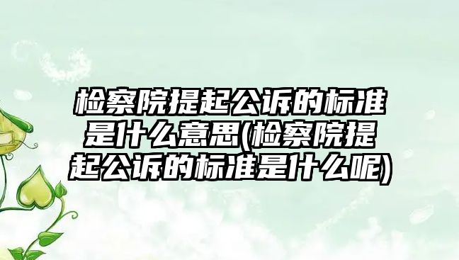 檢察院提起公訴的標準是什么意思(檢察院提起公訴的標準是什么呢)