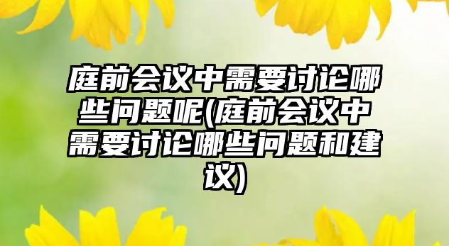 庭前會議中需要討論哪些問題呢(庭前會議中需要討論哪些問題和建議)