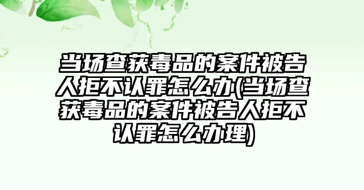 當場查獲毒品的案件被告人拒不認罪怎么辦(當場查獲毒品的案件被告人拒不認罪怎么辦理)