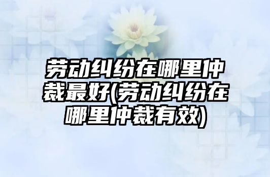 勞動糾紛在哪里仲裁最好(勞動糾紛在哪里仲裁有效)