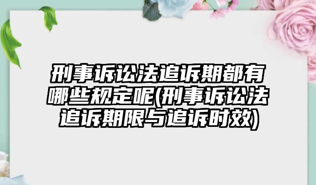 刑事訴訟法追訴期都有哪些規(guī)定呢(刑事訴訟法追訴期限與追訴時(shí)效)