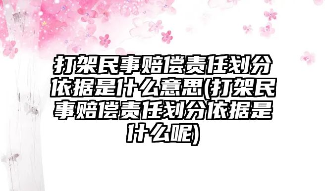 打架民事賠償責(zé)任劃分依據(jù)是什么意思(打架民事賠償責(zé)任劃分依據(jù)是什么呢)