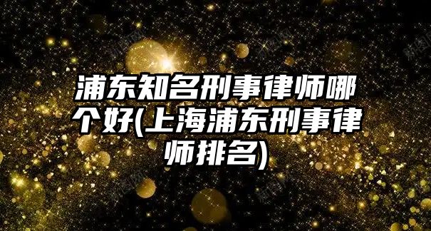 浦東知名刑事律師哪個好(上海浦東刑事律師排名)