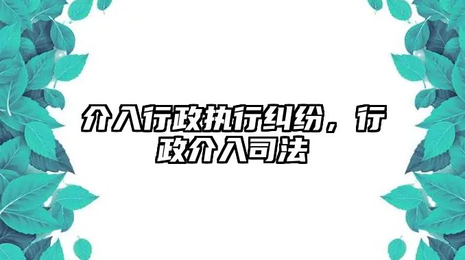 介入行政執行糾紛，行政介入司法