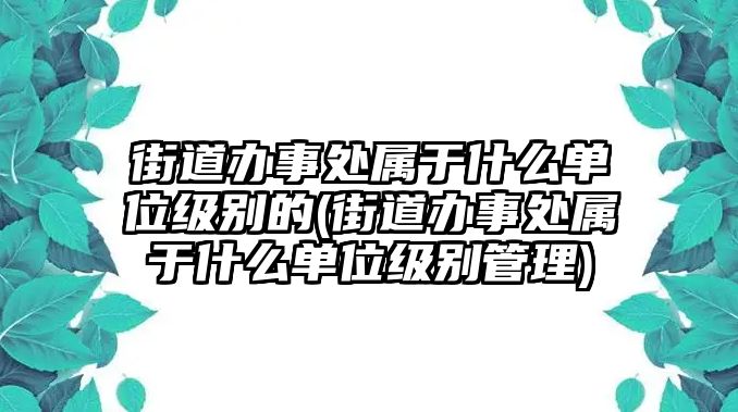 街道辦事處屬于什么單位級別的(街道辦事處屬于什么單位級別管理)