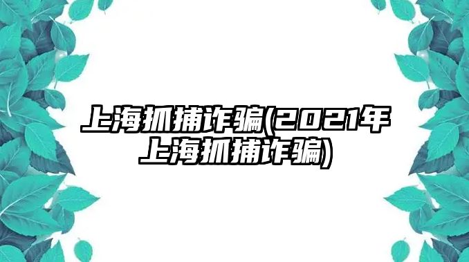 上海抓捕詐騙(2021年上海抓捕詐騙)