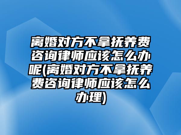 離婚對方不拿撫養費咨詢律師應該怎么辦呢(離婚對方不拿撫養費咨詢律師應該怎么辦理)