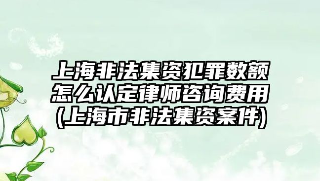 上海非法集資犯罪數額怎么認定律師咨詢費用(上海市非法集資案件)