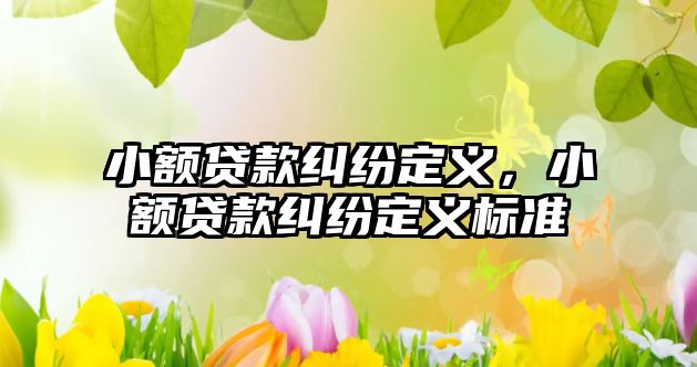 小額貸款糾紛定義，小額貸款糾紛定義標準