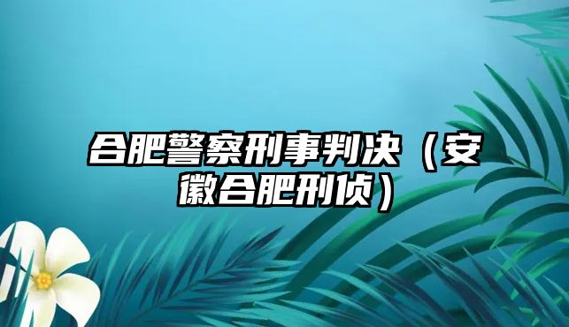 合肥警察刑事判決（安徽合肥刑偵）