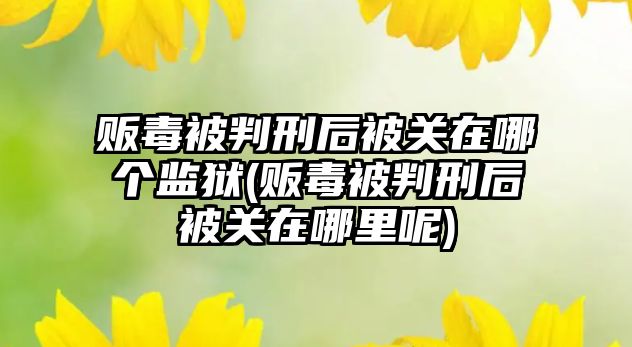 販毒被判刑后被關在哪個監獄(販毒被判刑后被關在哪里呢)