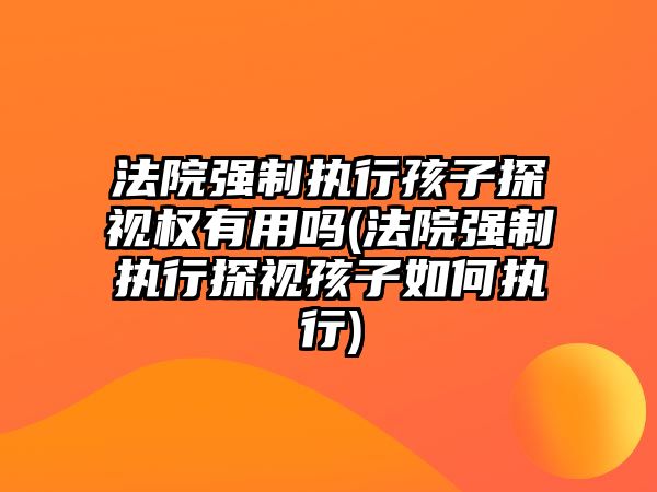 法院強制執行孩子探視權有用嗎(法院強制執行探視孩子如何執行)