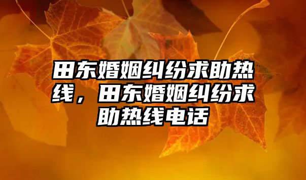 田東婚姻糾紛求助熱線，田東婚姻糾紛求助熱線電話