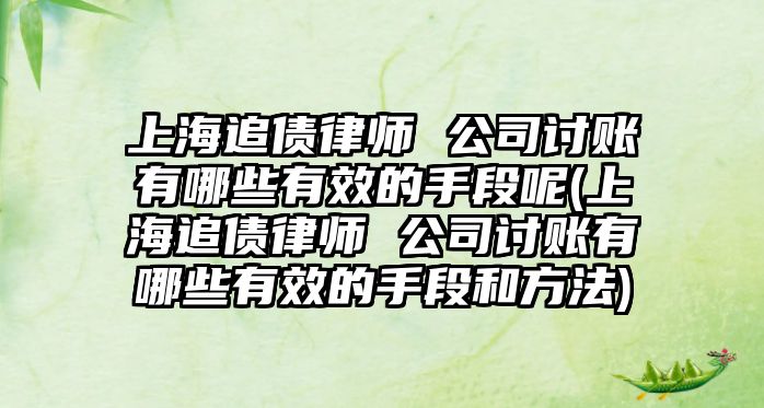 上海追債律師 公司討賬有哪些有效的手段呢(上海追債律師 公司討賬有哪些有效的手段和方法)